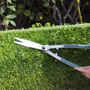 topiary